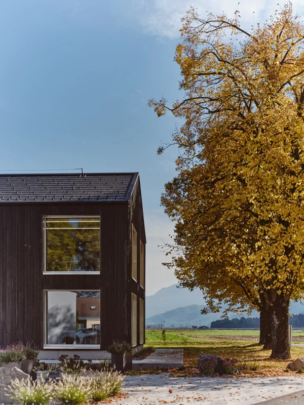 Architecture du projet TRB-CHEMEDICA - vue 8, Vouvry (VS)