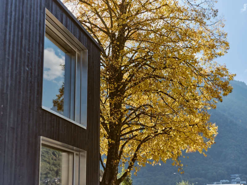 Architecture du projet TRB-CHEMEDICA - vue 9, Vouvry (VS)